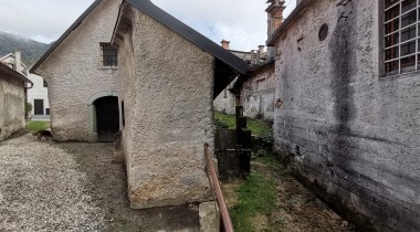 TRŽ6