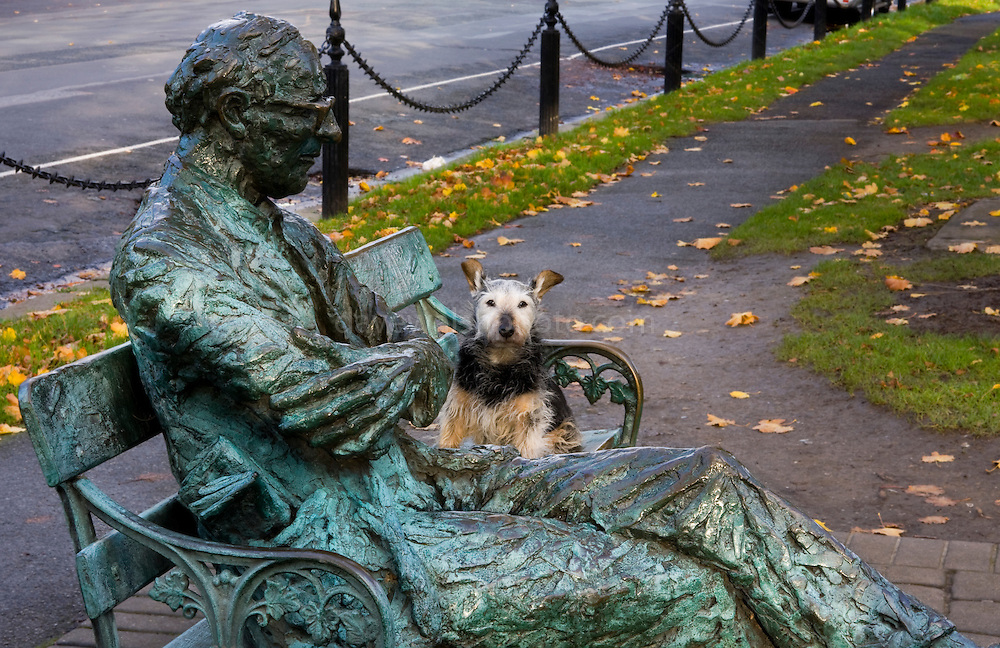 Bronze statue of poet Patrick Kavanagh on the Grand Canal, Dubli
