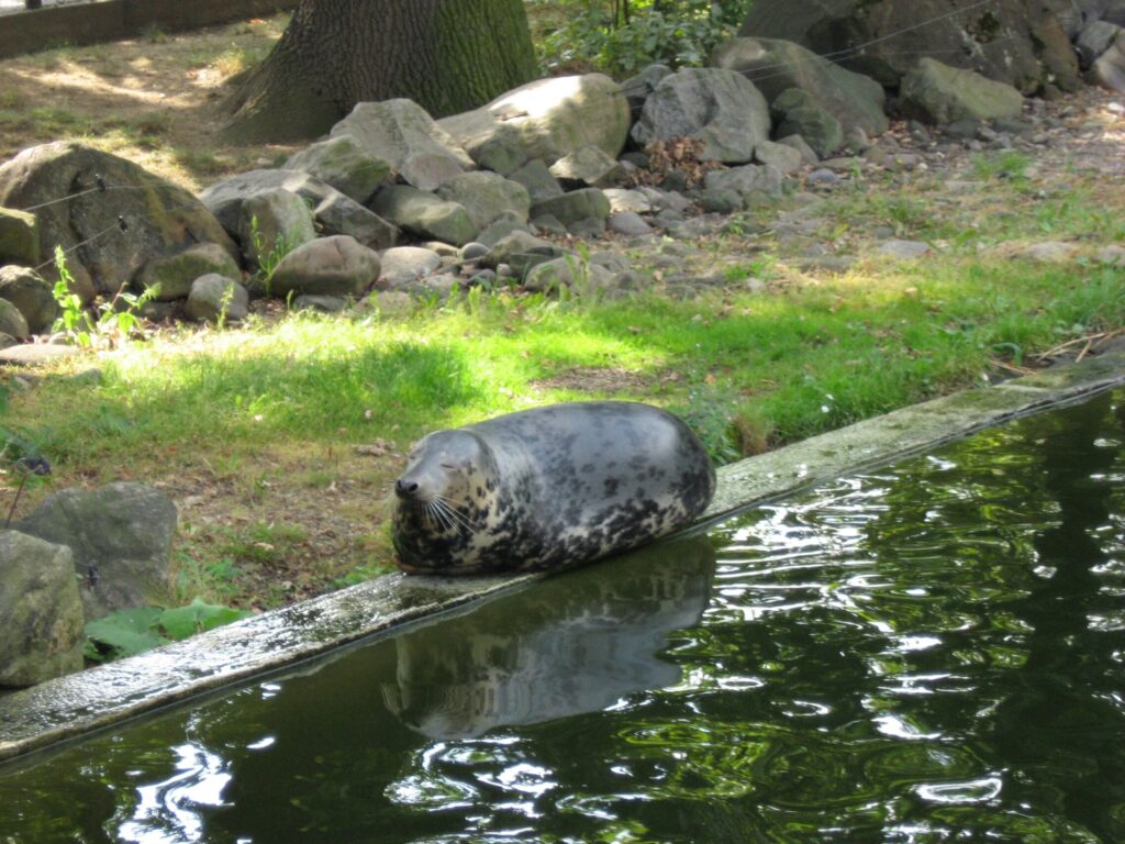 347