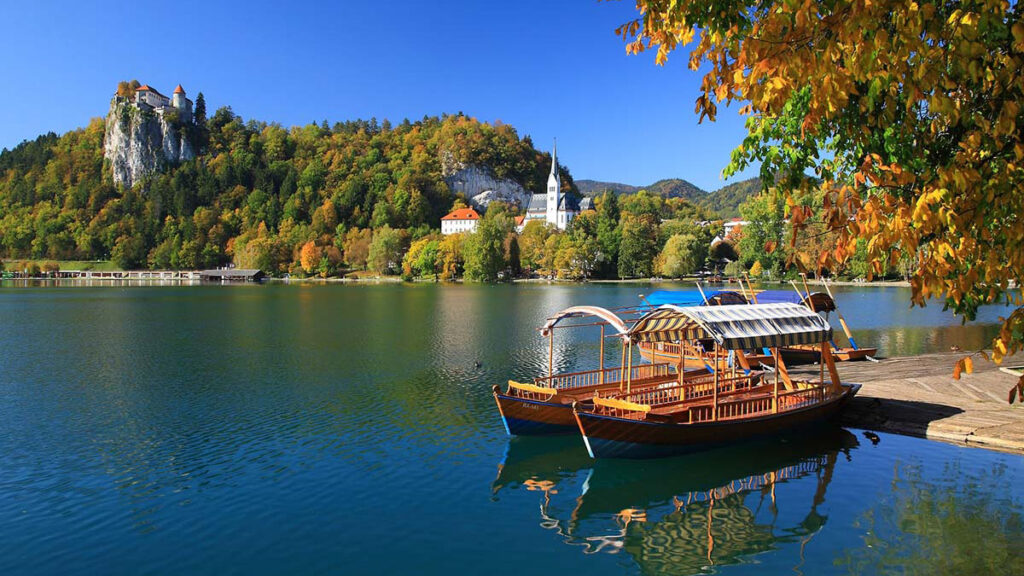 BLED