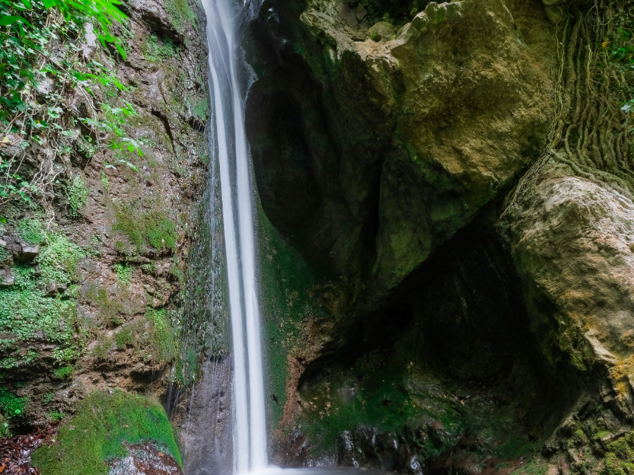 KRŠKO10