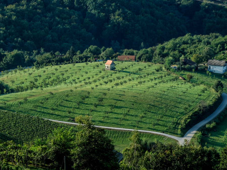KRŠKO9