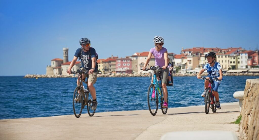 PIRAN1.6