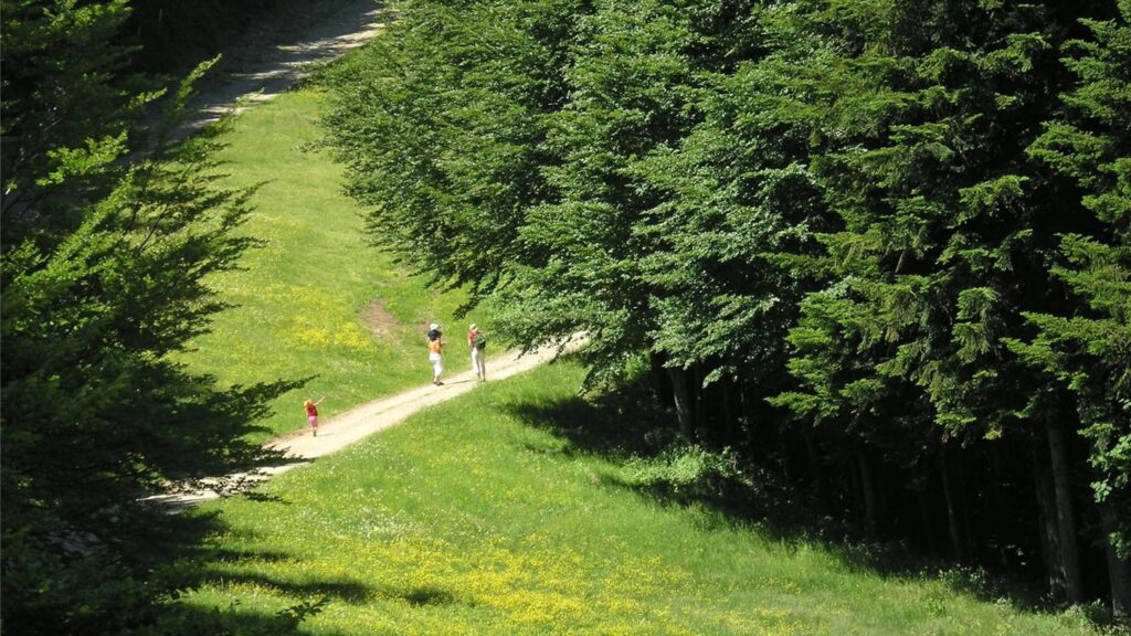 POHORJE3