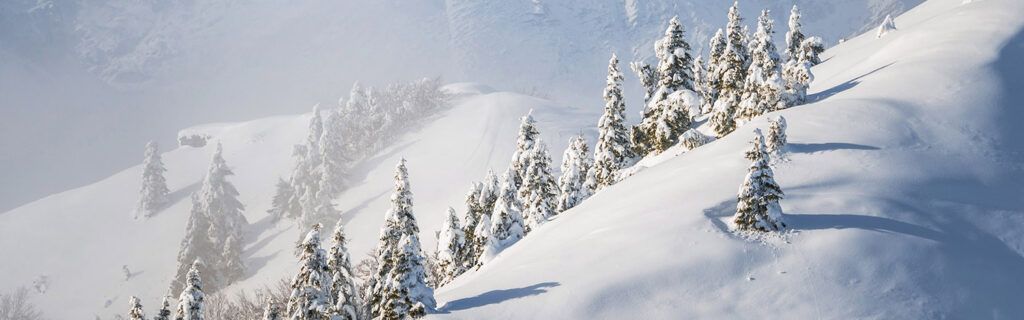 Winter at Soriska Planina