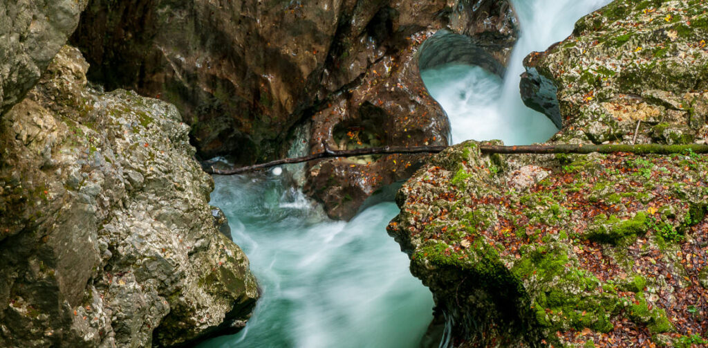 TRIGLAV1