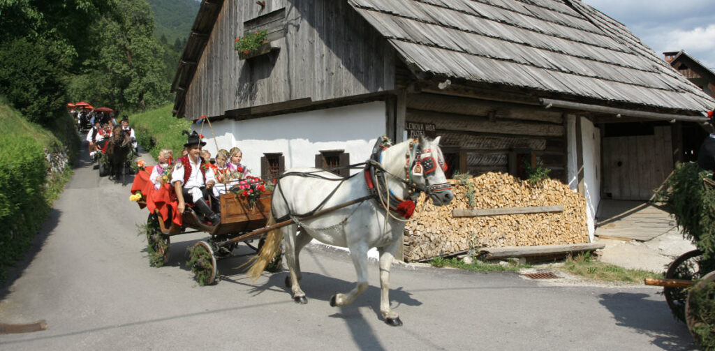 TRIGLAV8