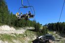 VOGEL1