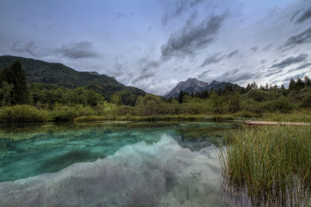 ZELENCI2