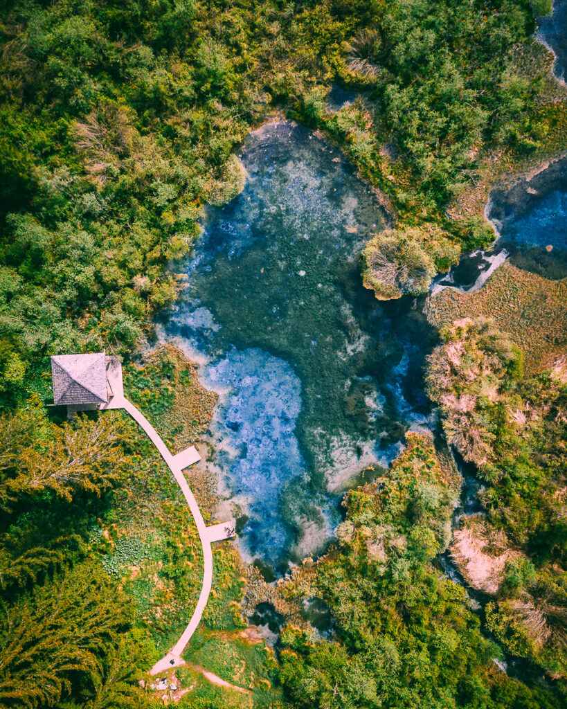 ZELENCI3