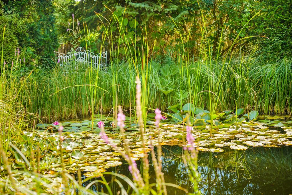 Gartensommer • NÖ Werbung 2015