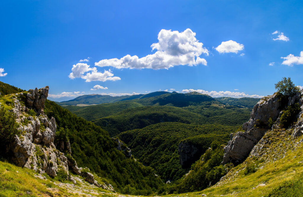 Stitched Panorama