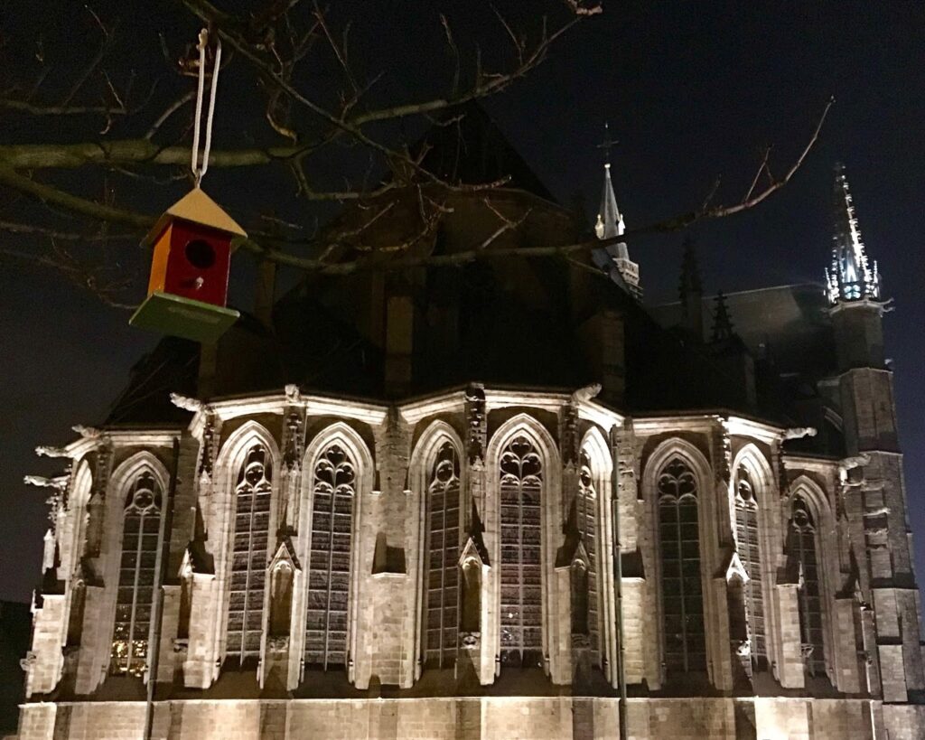 Collégiale Sainte-Waudru (Saint Waltrude Collegiate Church) Mons, Belgium