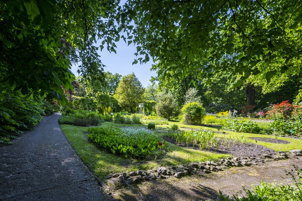 Ogród-Botaniczny-Uniwersytetu-Warszawskiego-fot.-Filip-Kwiatkowski-5