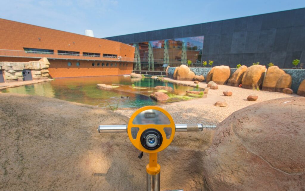 zoo-wroclaw5-jpg
